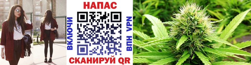 Каннабис Amnesia  Купить  Сафоново 